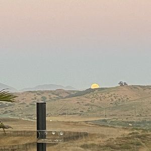 Meet your Posher, Leshauna